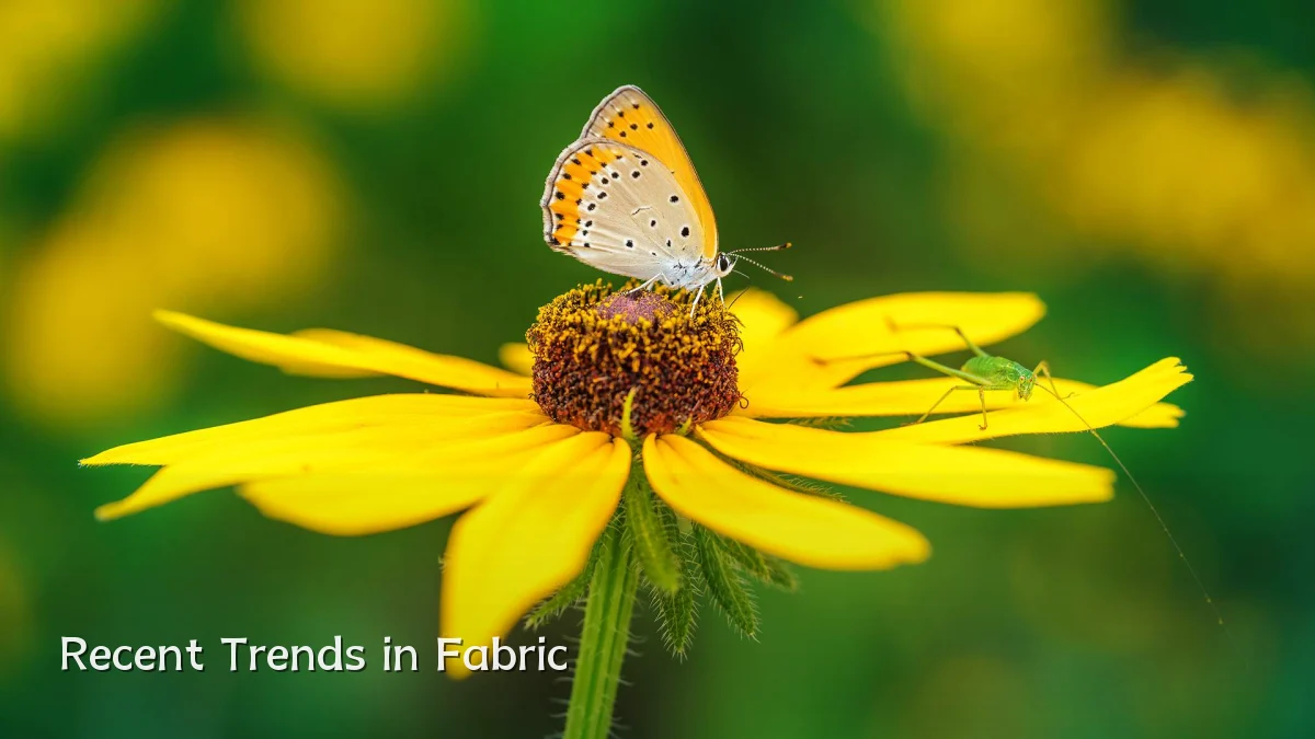 Recent Trends in Fabric