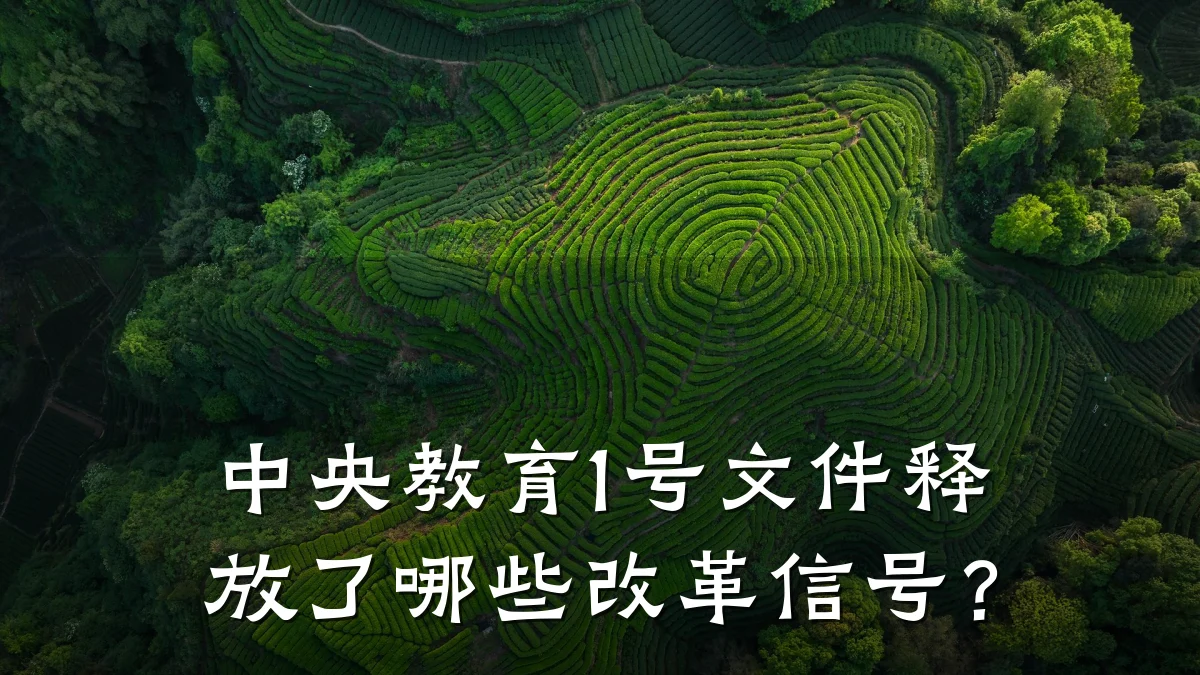 中央教育1号文件释放了哪些改革信号？